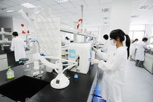 第三方檢測機構(gòu)資質(zhì)認證新規(guī)解讀 最新《意見稿》要點與技術(shù)咨詢指引