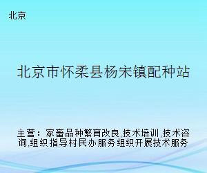 懷柔畜牧技術服務站 深化配種技術咨詢，助力鄉村振興