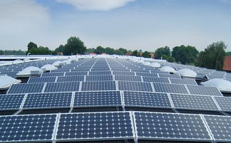 太陽能發電 引領綠色未來的技術服務與應用